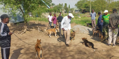 From Tragedy to Hope: My Journey to End Rabies in My Community
