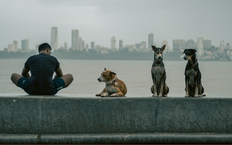 GARC’s Excellence in Action Series highlights stories from our community.