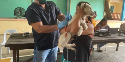 Building a United Front: How One Province in the Philippines is Breaking Rabies Boundaries