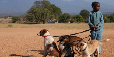 HALO’s promising battle against rabies in the rural communities around Hoedspruit, South Africa