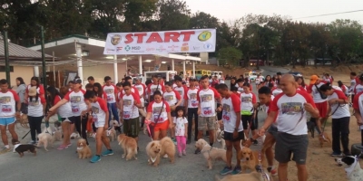 Philippines Takes Rabies Awareness Campaign to the Community Level