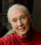 02 Dame Jane Goodall, DBE