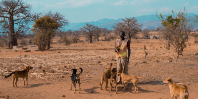 The Last Light of Gawaye