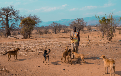 The Last Light of Gawaye