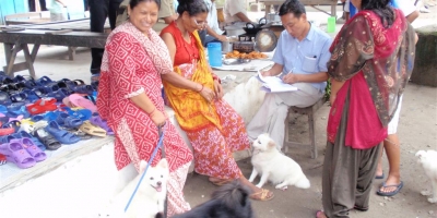 The World Rabies Day MSD Awards