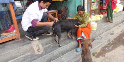 Working towards a rabies-free Nepal