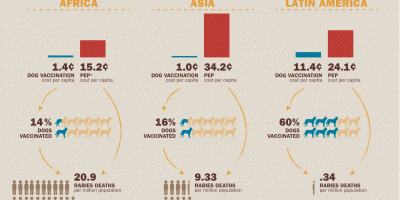 Spending money on rabies prevention is an investment we can’t afford not to make