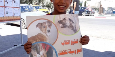 How students are creating a rabies-free Tunisia