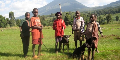 How African countries are starting to work together on rabies control