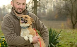 Bojan Veselica - Looking After Bosnia’s Dogs