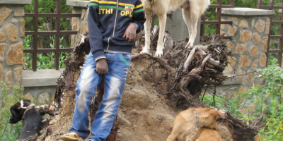 Rabies listed as top priority zoonotic disease in Ethiopia