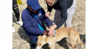 A passionate private US vet drives rabies elimination efforts in the Maasai Mara, Kenya