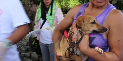 Journey Towards a Rabies Free Philippines