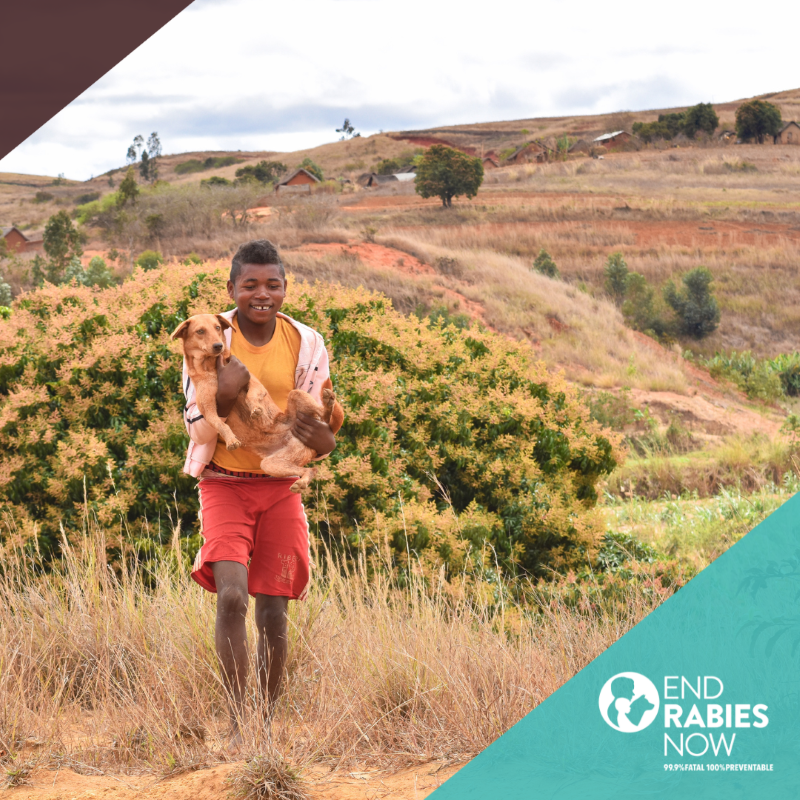 Boy and dog on hilltop, Madagascar