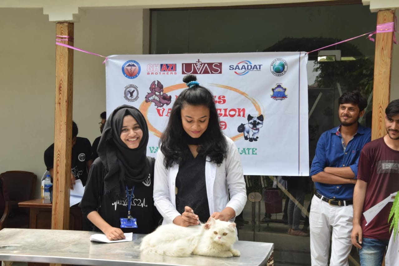 Students help vaccinate pets against rabies at the World Rabies Day event hosted by SAVERS. 